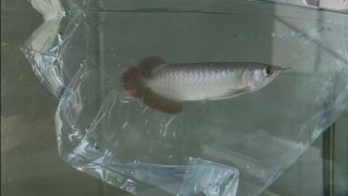レビュー41-投稿画像2