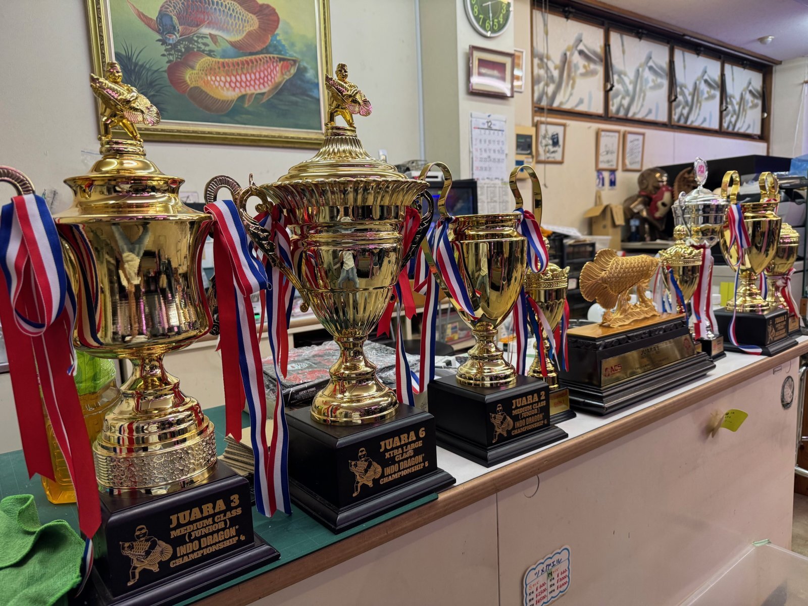 ジミー＆ジャッキー来日